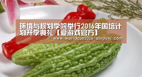环境与规划学院举行2016年国培计划开学典礼【爱游戏官方】(图1) 爱游戏官方入口